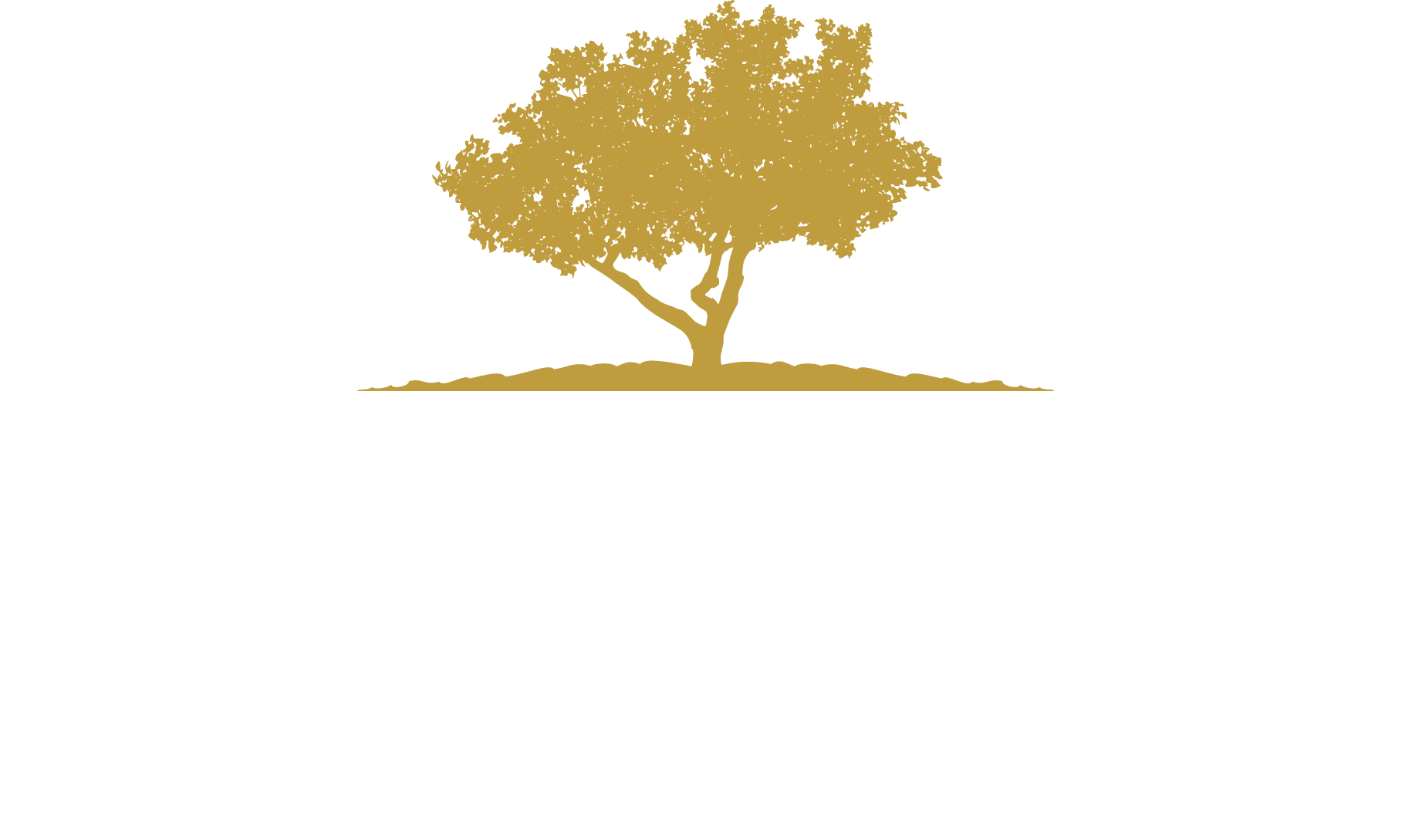 Terra Santa